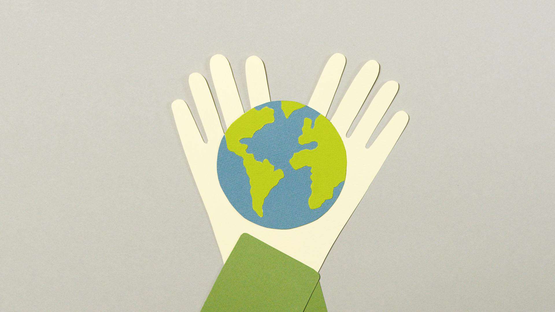 Read more about the article Environmental Impact of Custom Cabinet Making